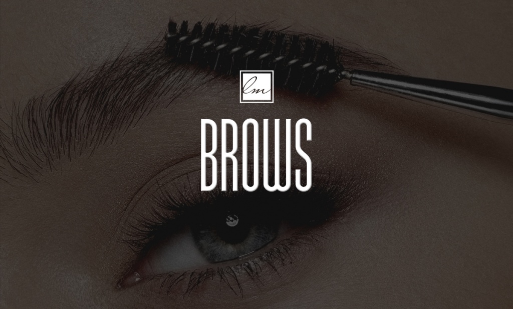 LDM_Brows_banner_blog